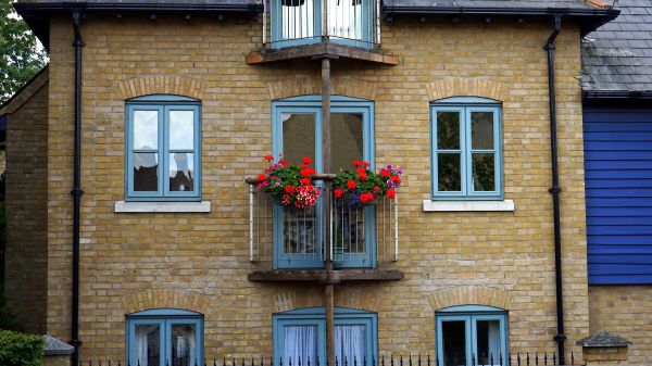 arkitektur,trä,gata,hus,fönster,stad