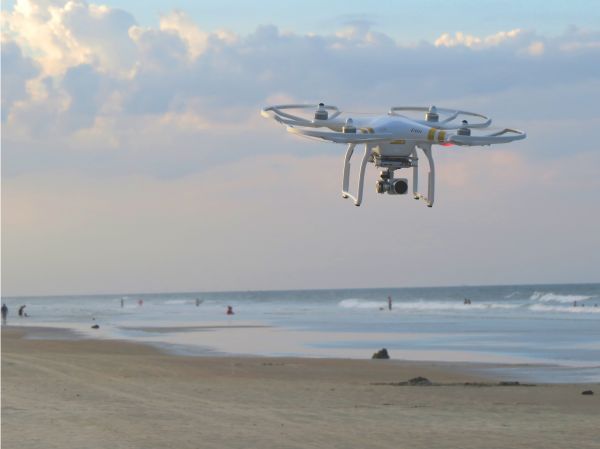 beach,sea,coast,sand,ocean,wing