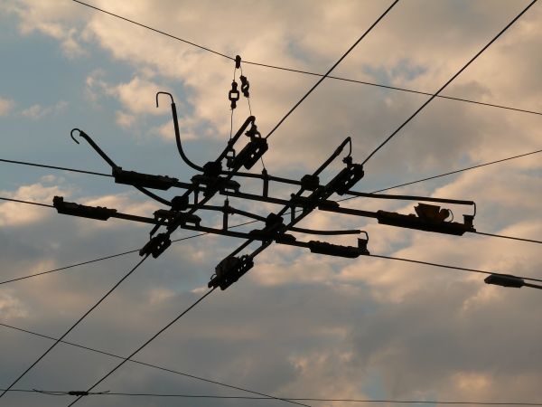 ramo, cerca, arame farpado, céu, linha, luz