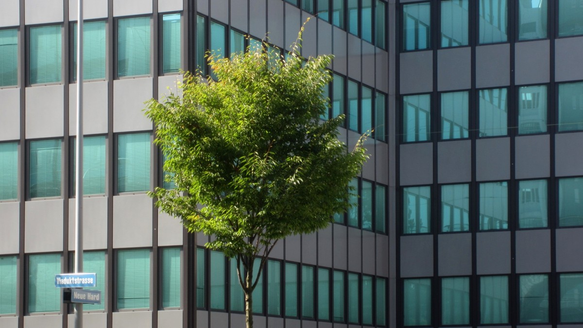 arbre, architecture, maison, fenêtre, verre, bâtiment, ville, Gratte-ciel, Urbain, mur, balcon, vert, Couleur, façade, bleu, appartement, Pavillon, Design d'intérieur, conception, quartier général, condominium, zone urbaine, Couverture de fenêtre