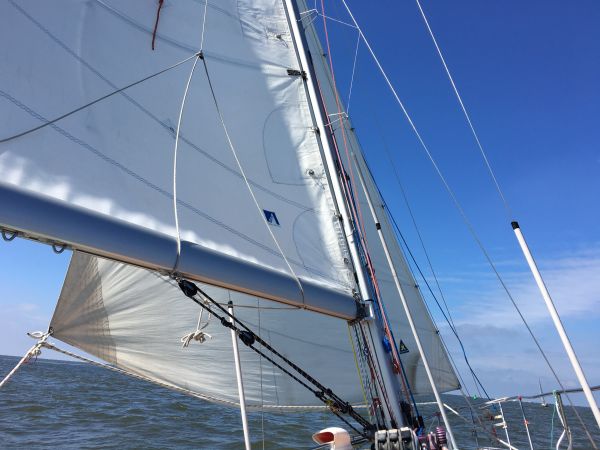 barco, viento, enviar, vehículo, mar, bota