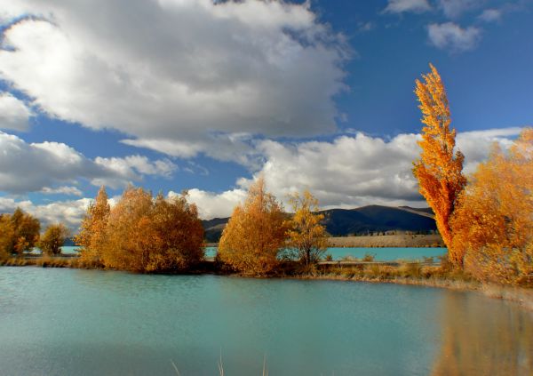 paesaggio, albero, acqua, natura, erba, nube