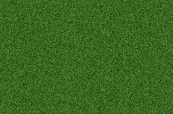 grass, plant, field, lawn, meadow, texture