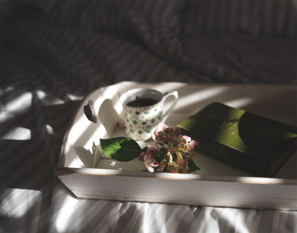 anillo,flor,libro,café,hortensia,joyería