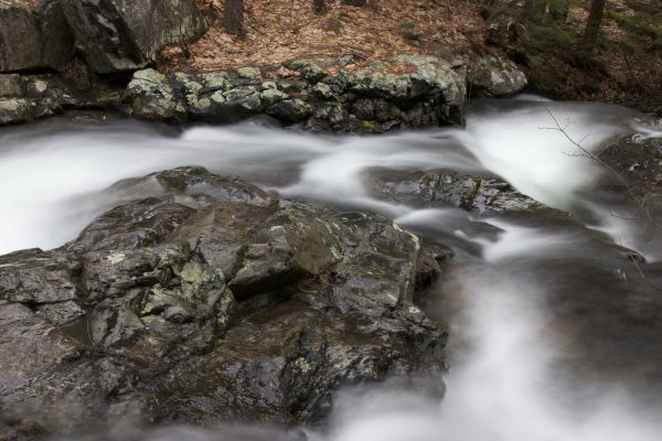 krajina, voda, príroda, les, vonkajšie, rock