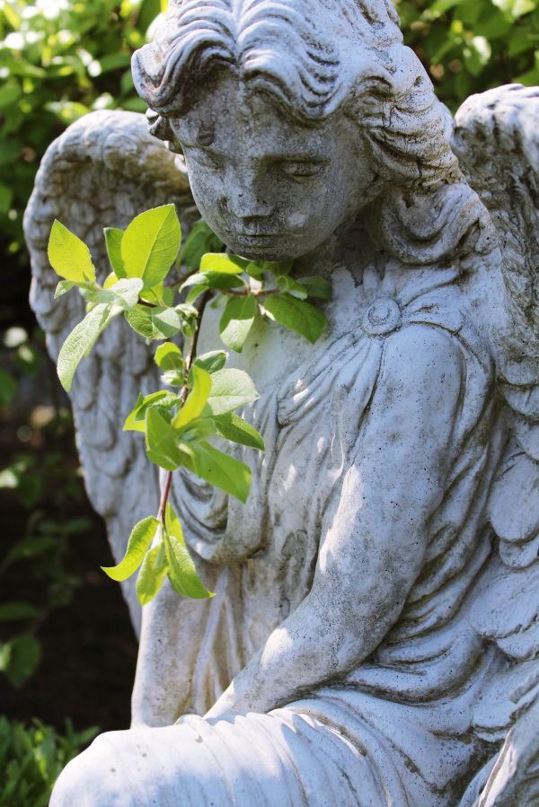 wing, woman, nature, rock, branch, plant