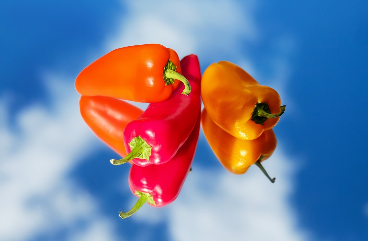 plant, flower, orange, food, red, produce, vegetable, yellow, vegetables, peppers, mirroring, paprika, macro photography, flowering plant, chili pepper, land plant, bell peppers and chili peppers