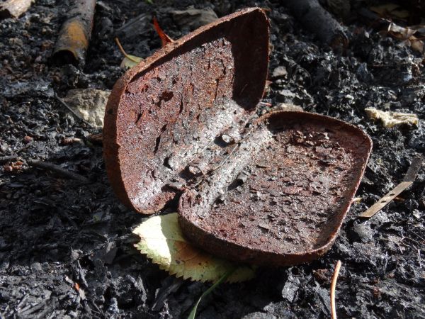 natur,blad,blomst,metall,jord,tømme