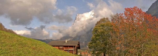 landschap, boom, natuur, berg-, hemel, wolk