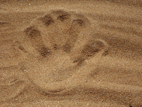 le sable,main,plage,bois,texture,sol