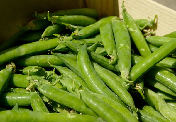 plantă,fruct,farfurie,alimente,legume şi fructe,vegetal