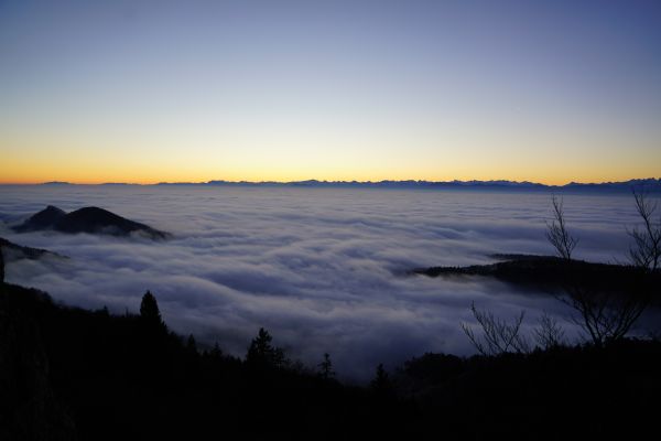 krajina, strom, príroda, horizont, vrch, les