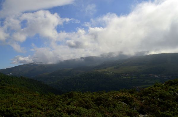 landskap,träd,natur,skog,Berg,moln