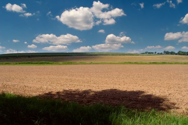 Landschaft,Gras,Horizont,Wolke,Himmel,Feld