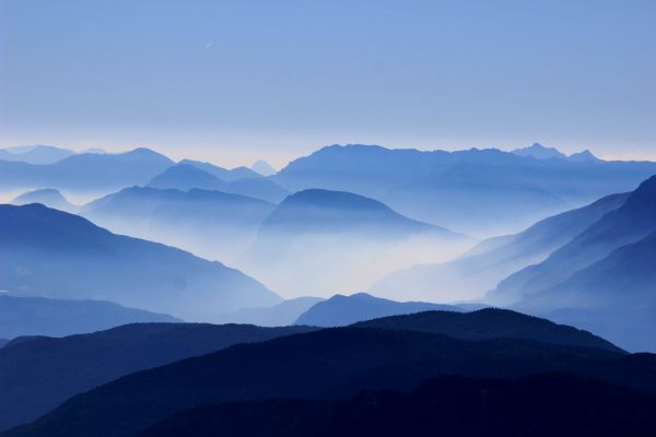 tájkép,természet,erdő,horizont,vadon,sziluett