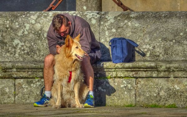 Menschen,Hund,Säugetier,Strassenfotografie,Hunde,Gente