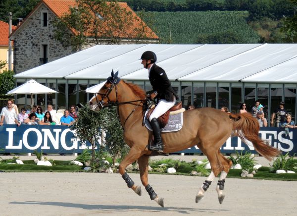 engelsk ridning,equestrianism,hest,hest seletøy,sprangridning,western riding