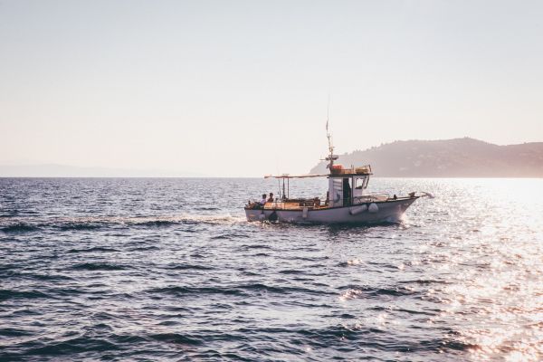 海,滨,水,海洋,船,车辆