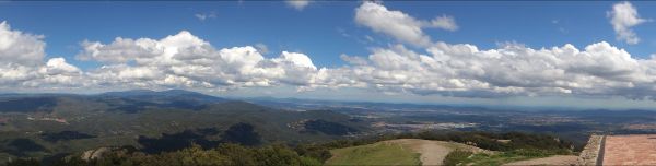 peisaj,copac,natură,pădure,cale,mers