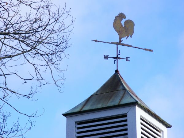 wind,tree,winter,farm,windmill,rural