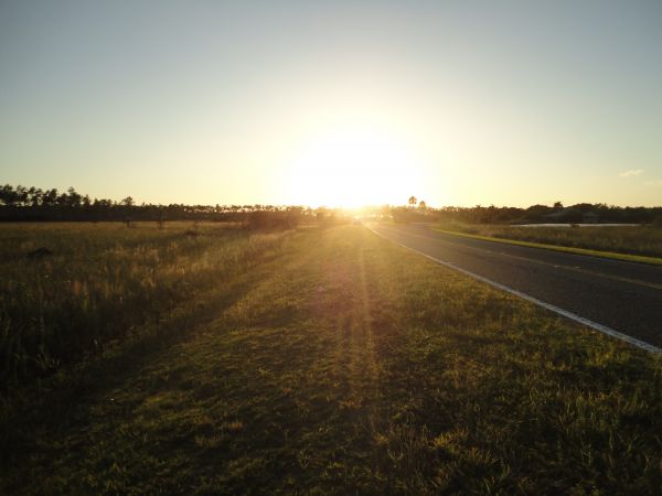 naturaleza, horizonte, ligero, cielo, sol, niebla