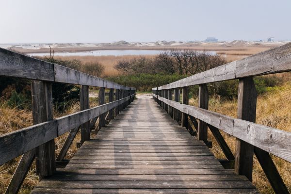 경치,물,자연,통로,잔디,산책로