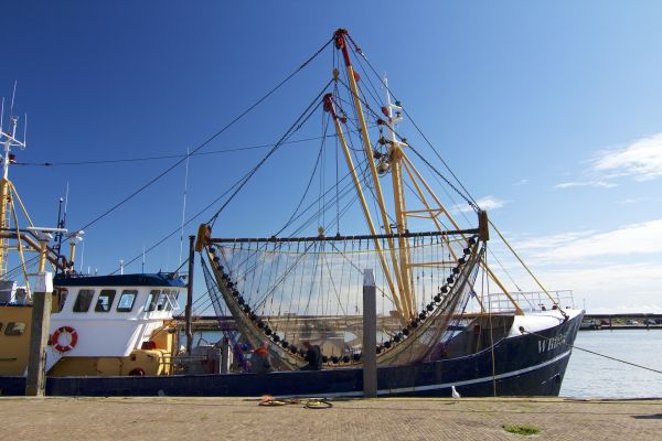 sea,boat,ship,vehicle,mast,netherlands