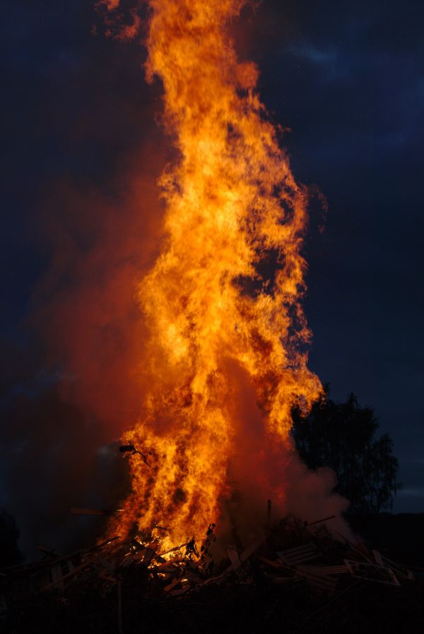 afdeling, himmel, træ, nat, røg, aften