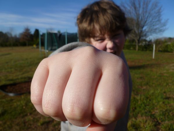 Hand, Person, Mädchen, Haar, Junge, Gras