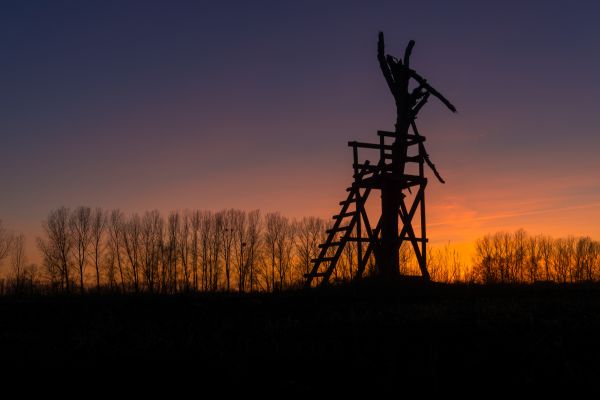 landschap, natuur, horizon, silhouet, boom, winter