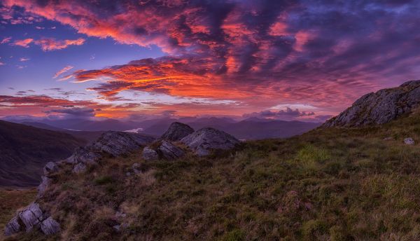 krajina,strom,Příroda,Skála,horizont,tráva