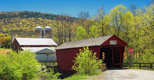 weg, brug, farm, huis, gebouw, berg-