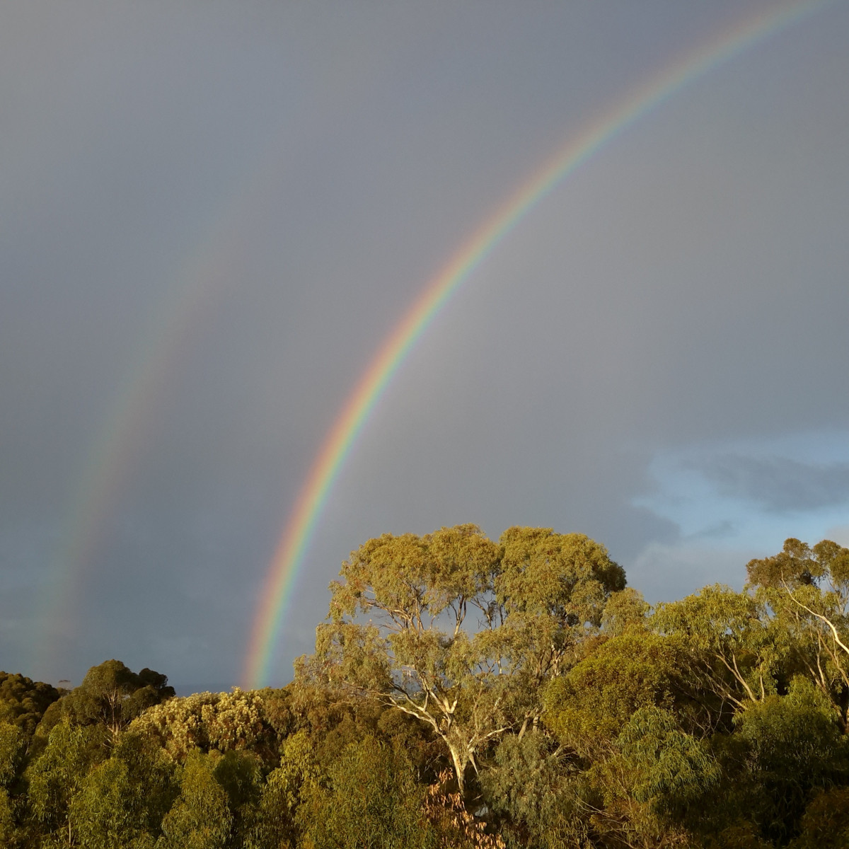 natureza, nuvem, céu, luz solar, manhã, atmosfera, arco Iris, arco-íris, Fenômeno meteorológico, Gumtrees, Atmosfera da terra