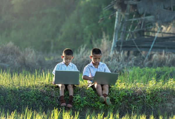 il computer portatile, natura, erba, all'aperto, persone, campo