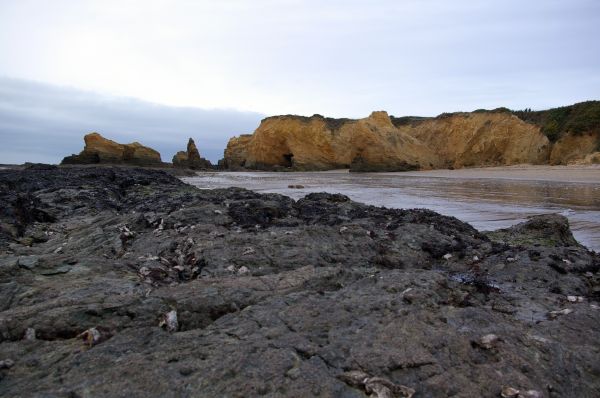 Strand, landskap, hav, kyst, vann, natur