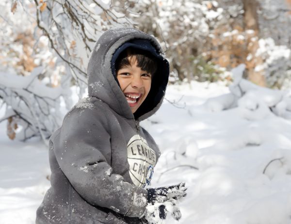 persona, nieve, invierno, gente, jugar, chico