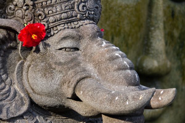 wildlife,monument,statue,fauna,elephant,close up