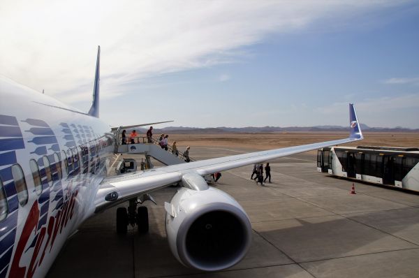 ala,aeroporto,aereo,aereo,veicolo,linea aerea