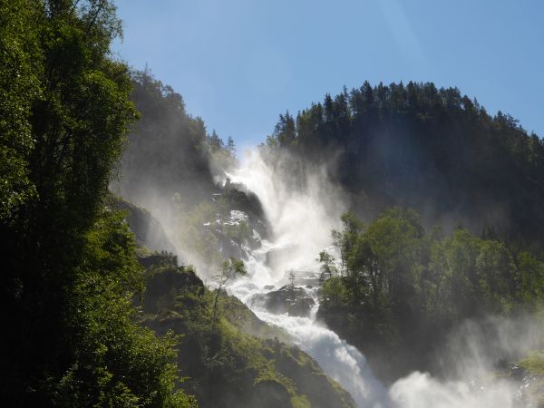 tájkép, fa, víz, természet, erdő, szabadtéri