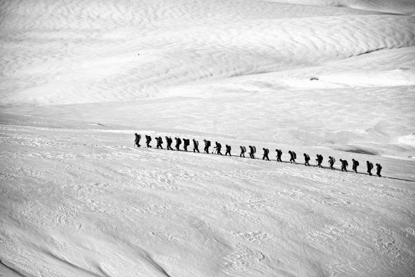 le sable, en marchant, neige, hiver, aile, noir et blanc