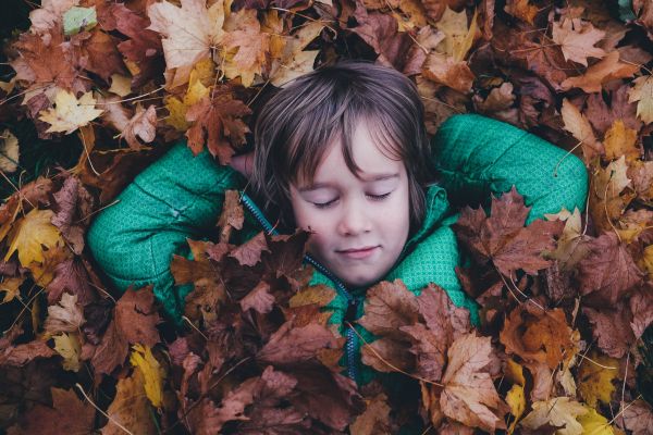 Menschen,Junge,Baum,Blatt,fallen,Blume