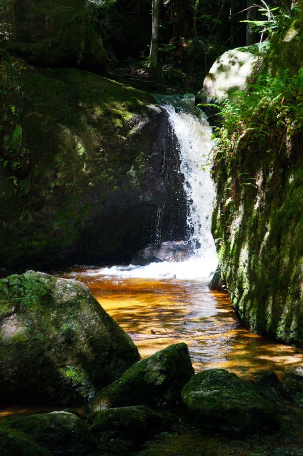 pemandangan, pohon, air, alam, hutan, batu