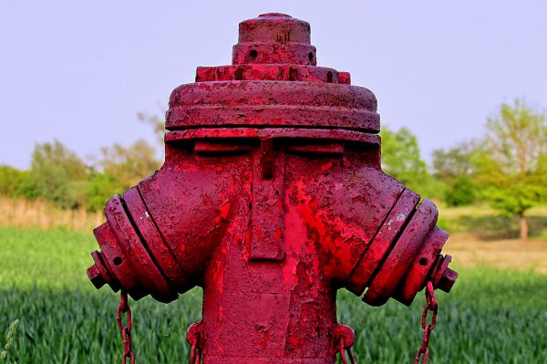 estátua,vermelho,flor,agricultura,hidrante,templo