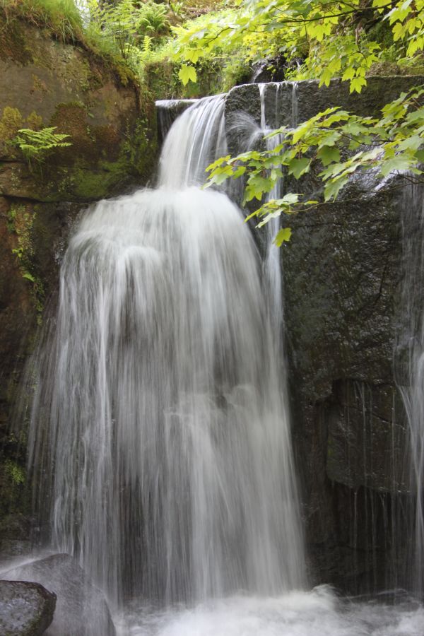 krajina, voda, príroda, rock, vodopád, les