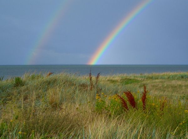 Landschaft,Meer,Wasser,Natur,Gras,Ozean