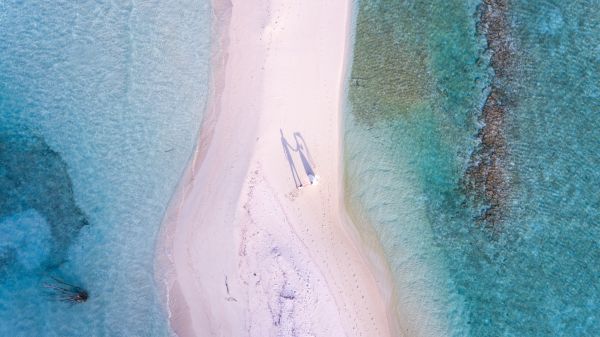 mar,agua,areia,onda,mão,de praia