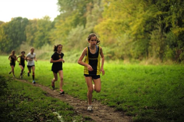 wandelen,persoon,meisje,spoor,sport,weide