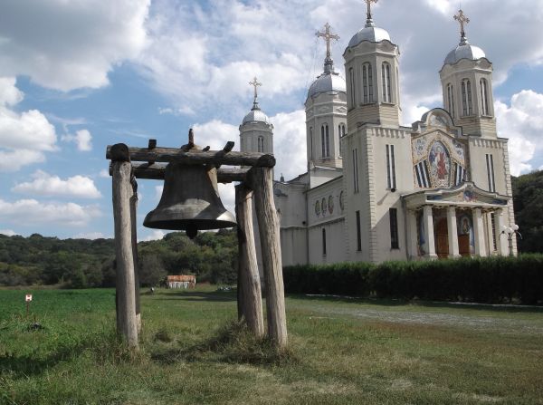 ručné, muž, kniha, otvorený, ľudia, budova