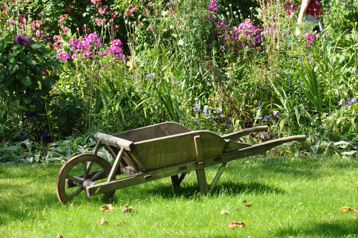 grass, field, lawn, meadow, cart, flower, vehicle, garden, gardening, carriage, yard, gardener, vegetable garden, wheelbarrow, land vehicle