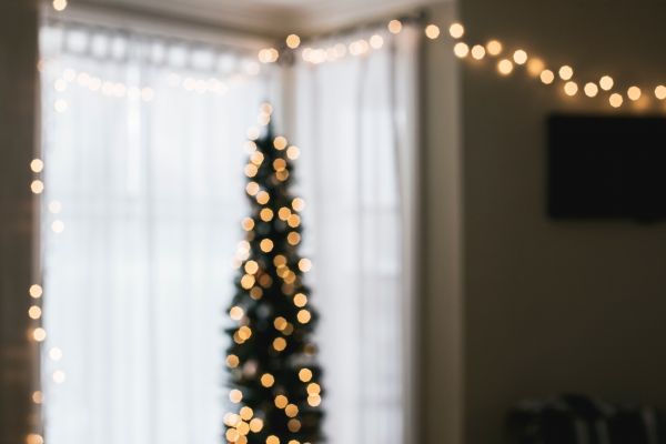 luz,Bokeh,Natal,flor,amarelo,iluminação